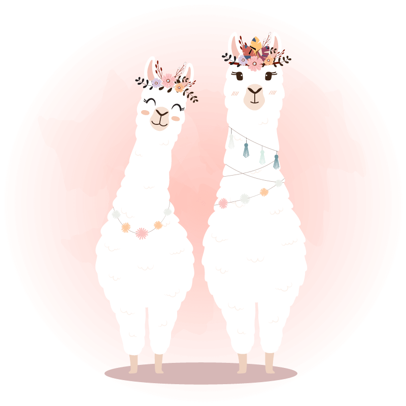 Lama_klein