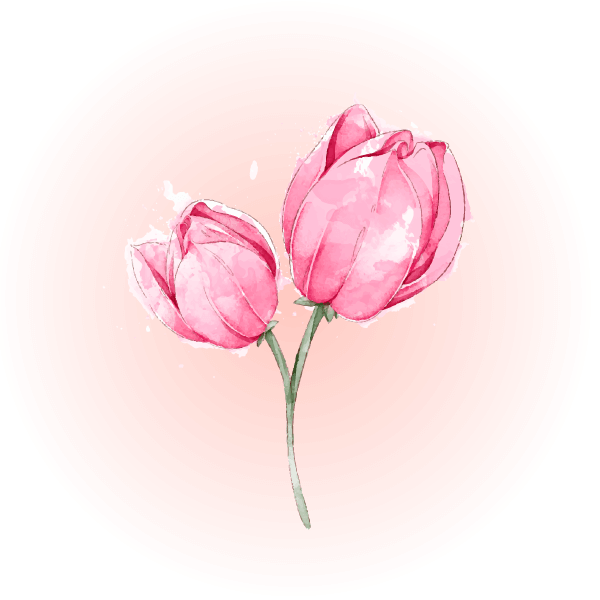 Tulpe_kleion